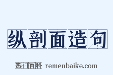 纵剖面造句是什么意思的图片